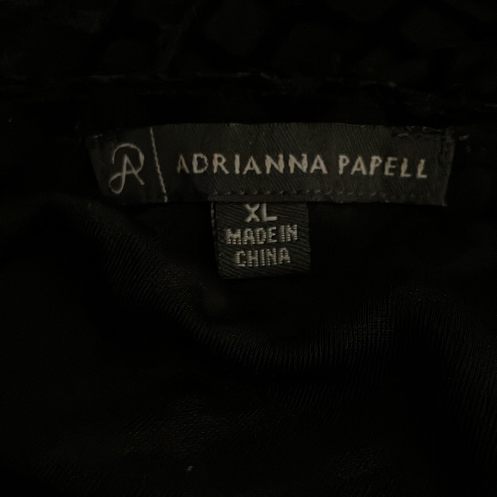 Adrianna Papell XL Burn Out Black Velvet Sheer Ruffle Hem Whimsigoth Blouse Top - Picture 6 of 10